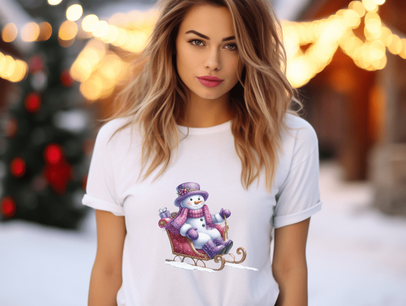 Snowman in a Sleigh